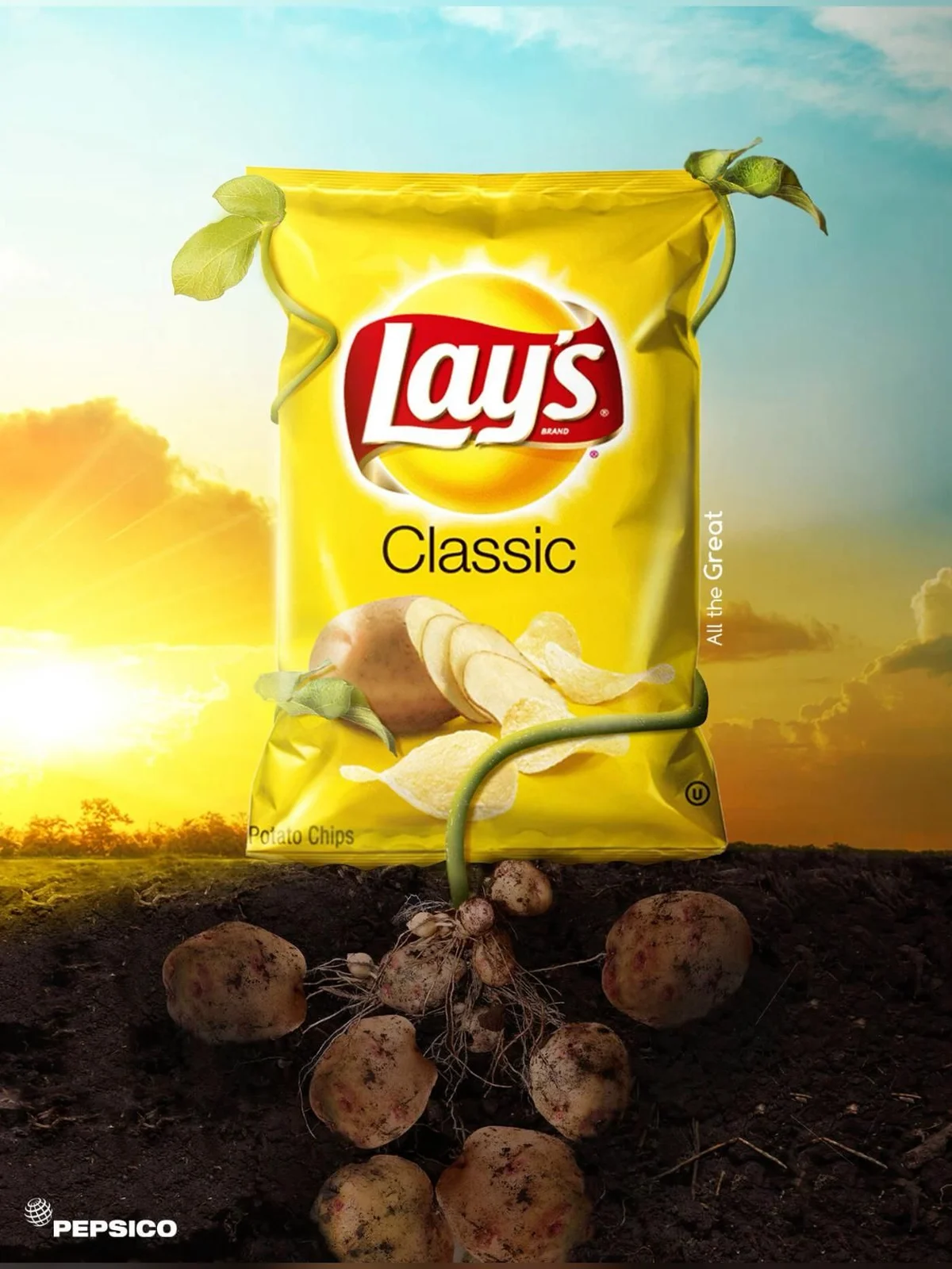 Chips preview