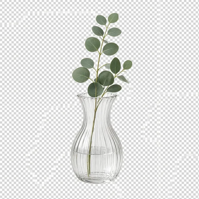 Transparent PNG